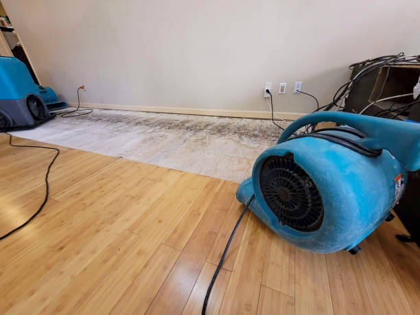 Professional Burst Pipe Water Damage technician working in Richmond, KY